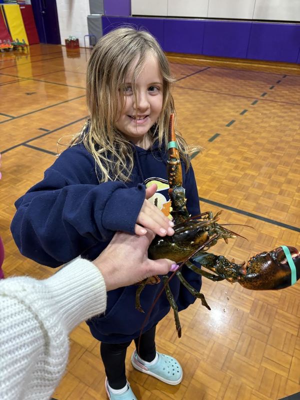Lobsters