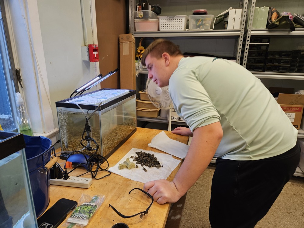 Checking things out.