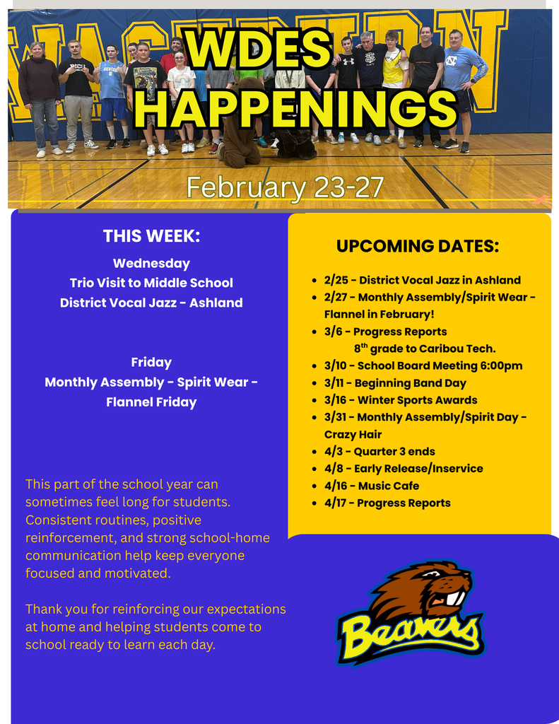 blue and yellow newsletter