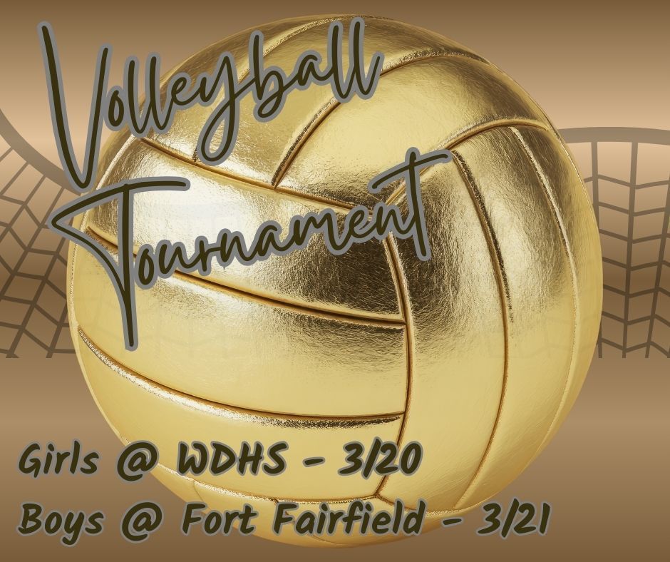 volleyball tournament