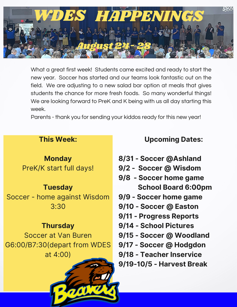 Newsletter with yellow and blue