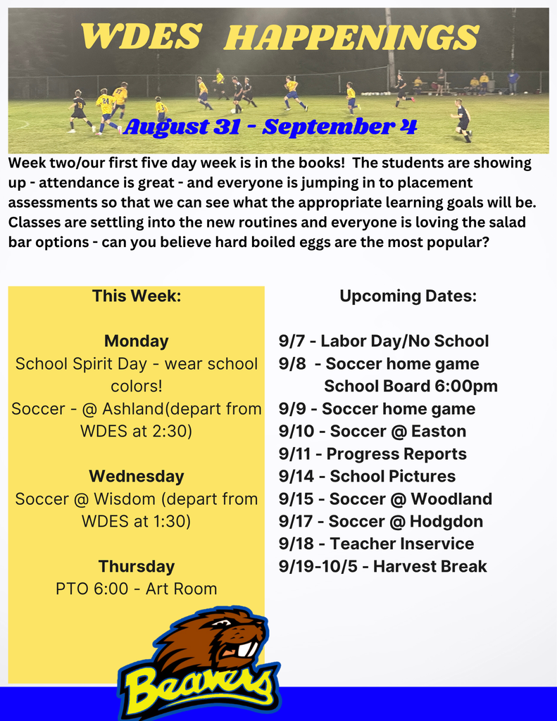 Blue and yellow newsletter