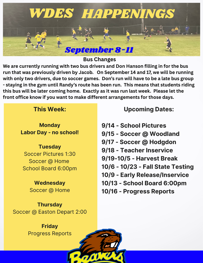 Blue and yellow newsletter