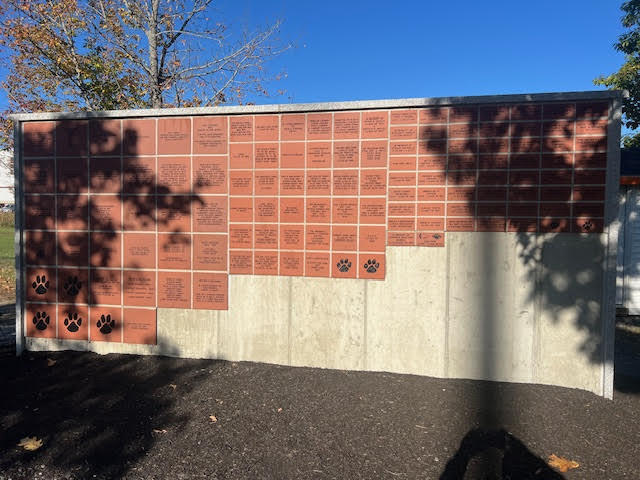 Recognition Wall