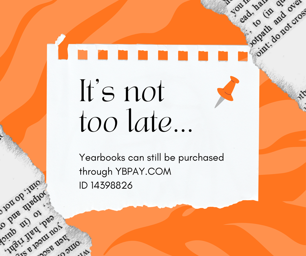 Your paragraph text (1)