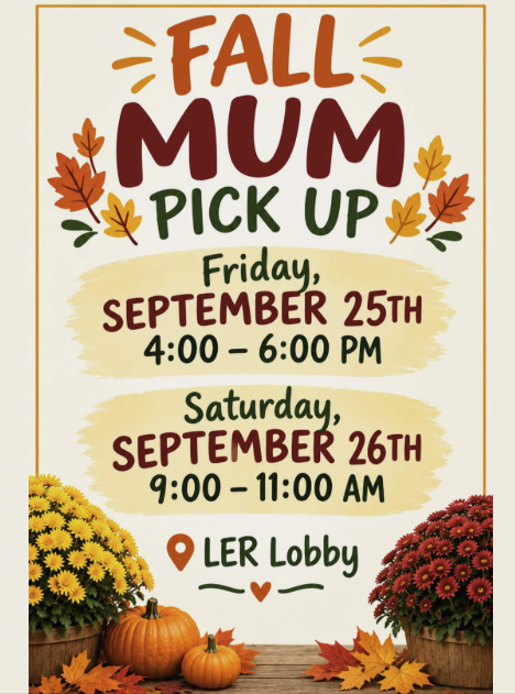 Fall Mum pickup