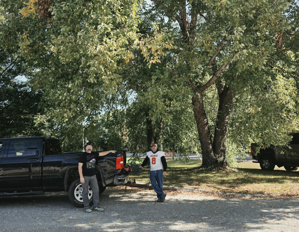 tree trimming