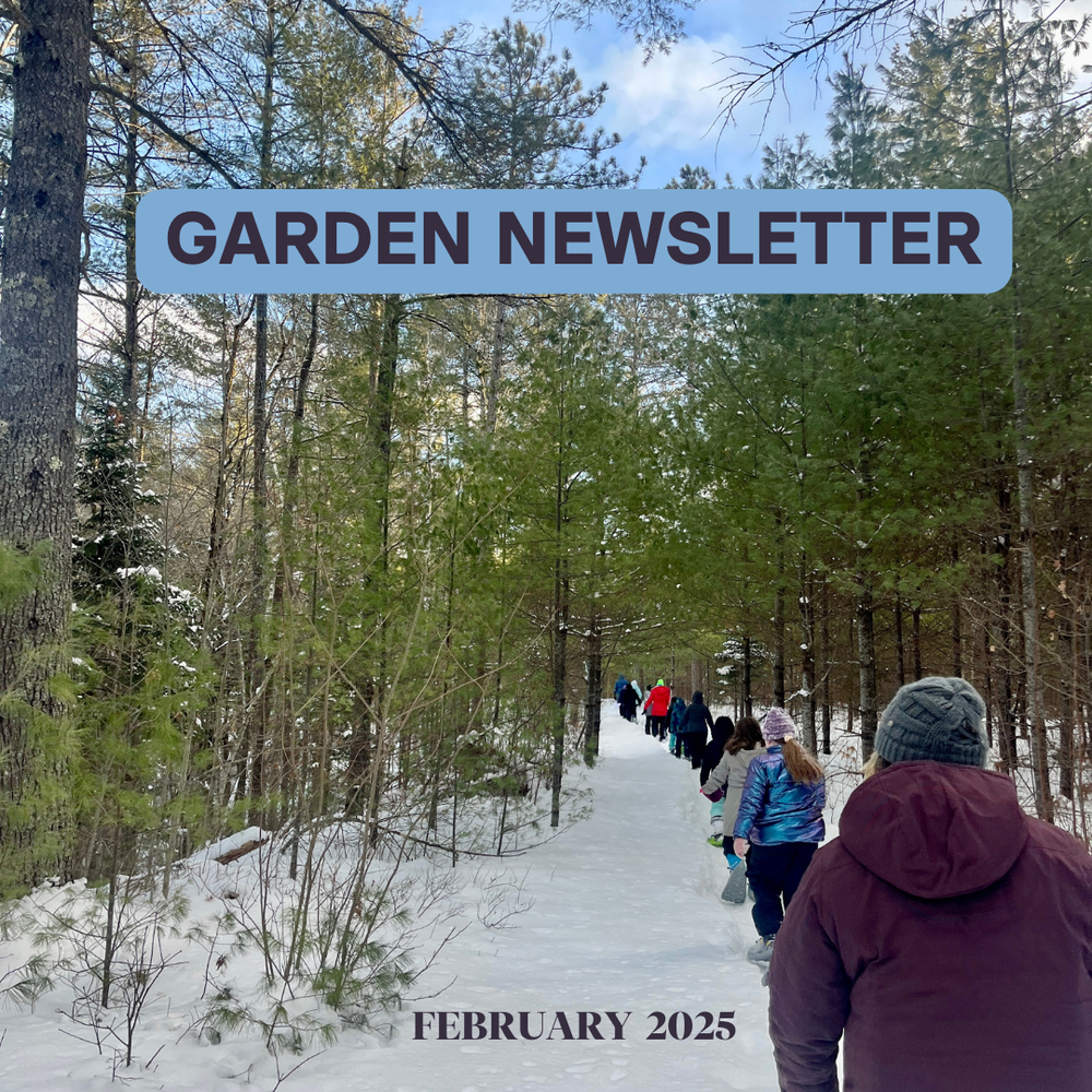 Garden Newsletter cover page