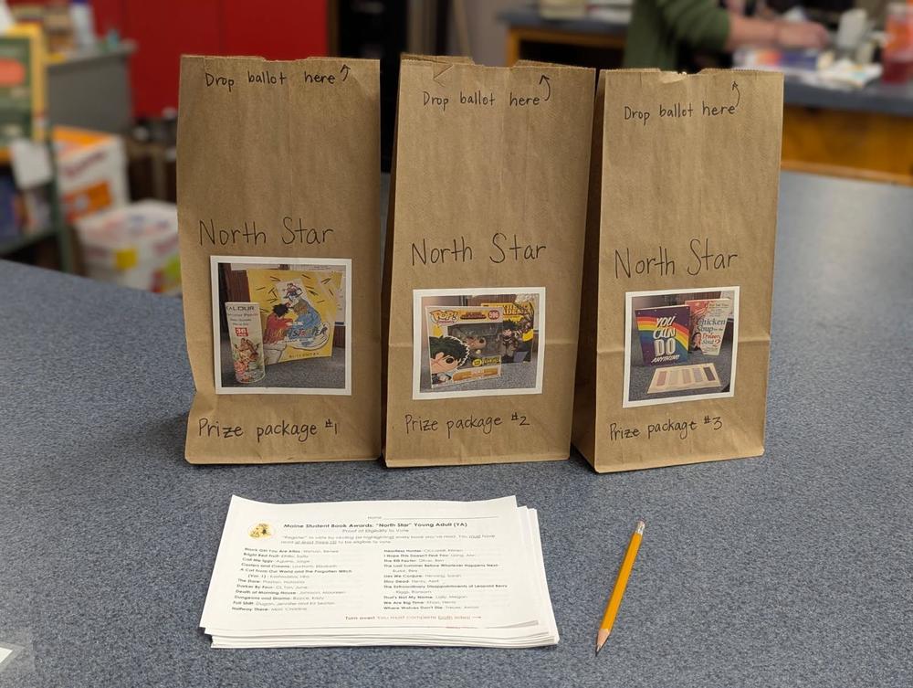 paper ballot and pencil in front of three paper bags