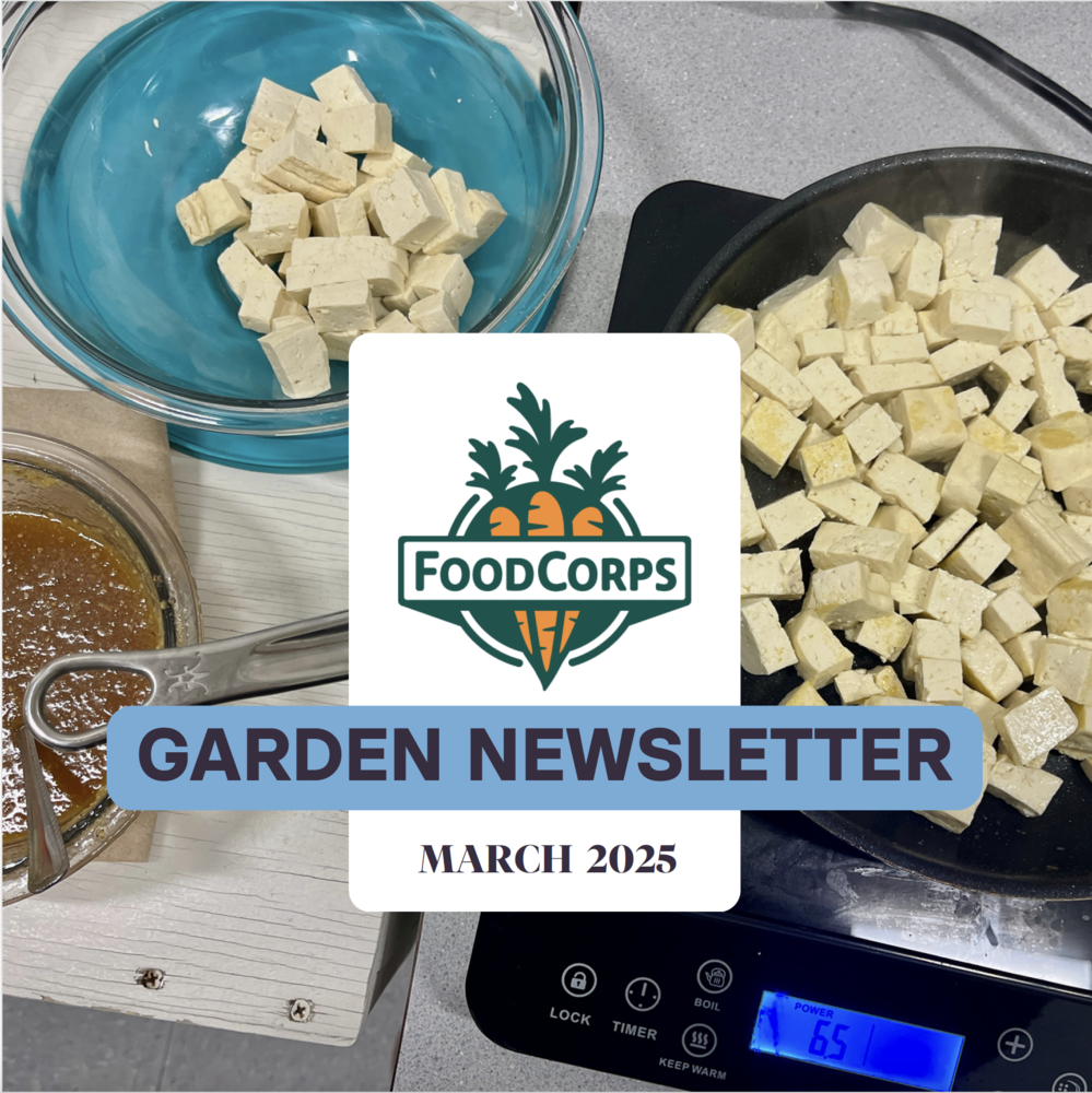 March Newsletter pg1
