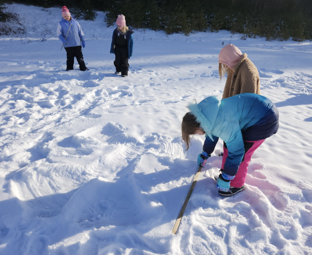 3rd graders measure snow prints
