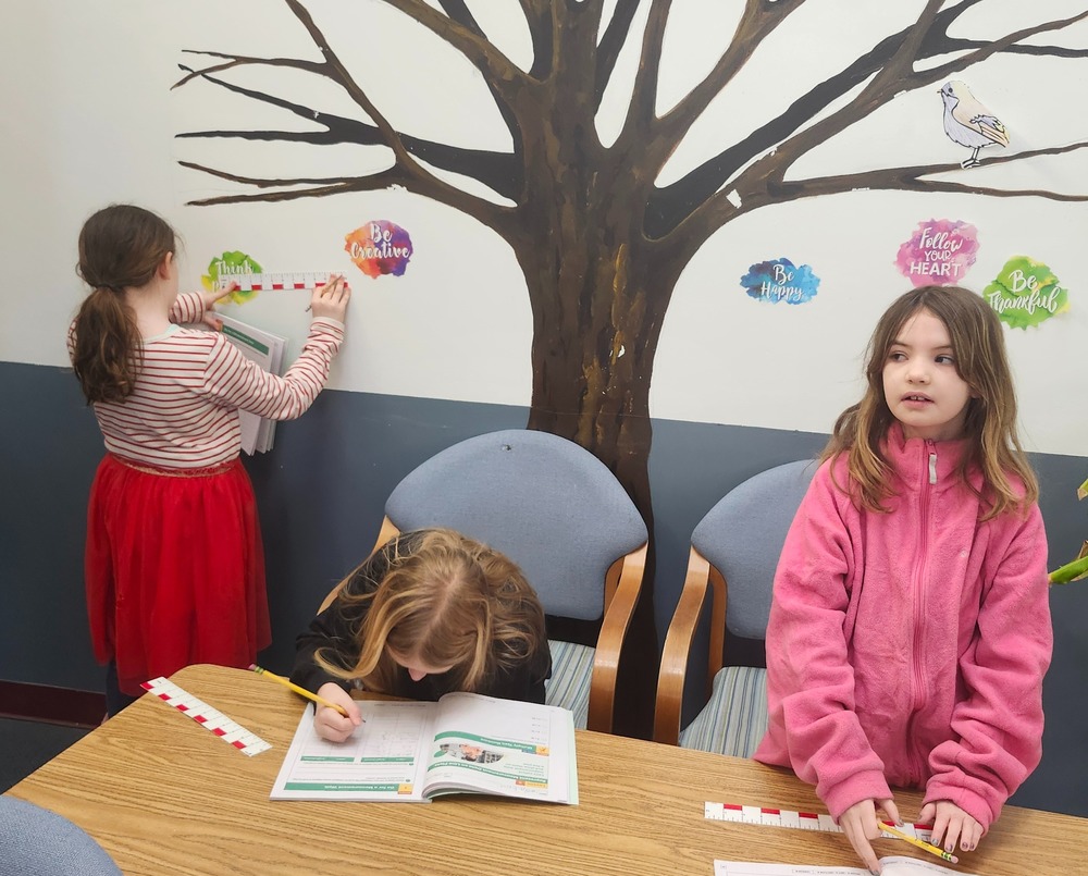 3rd graders measure and collect data for math