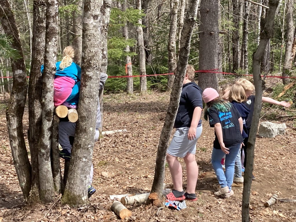 the forest playground