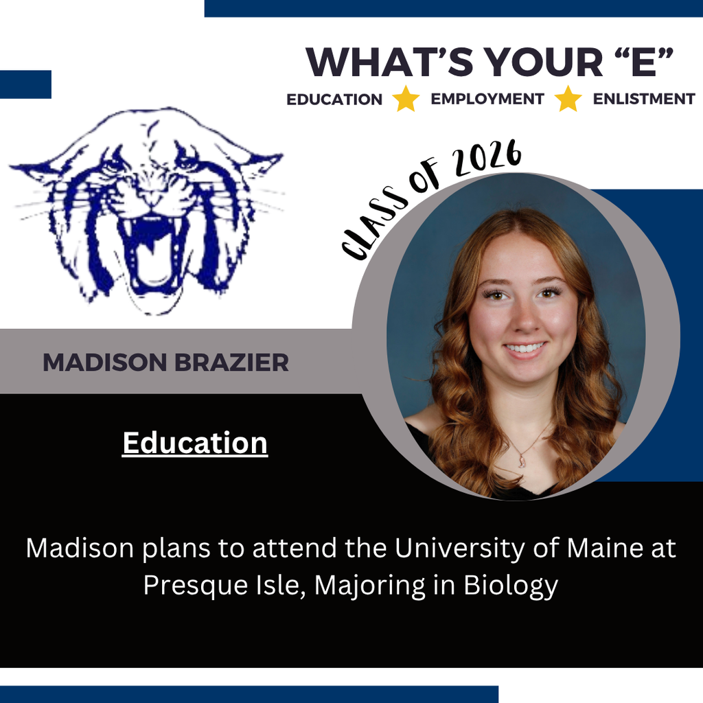 M Brazier
