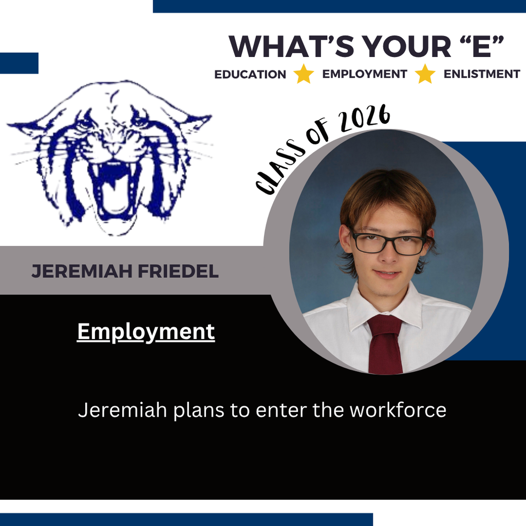 J Friedel