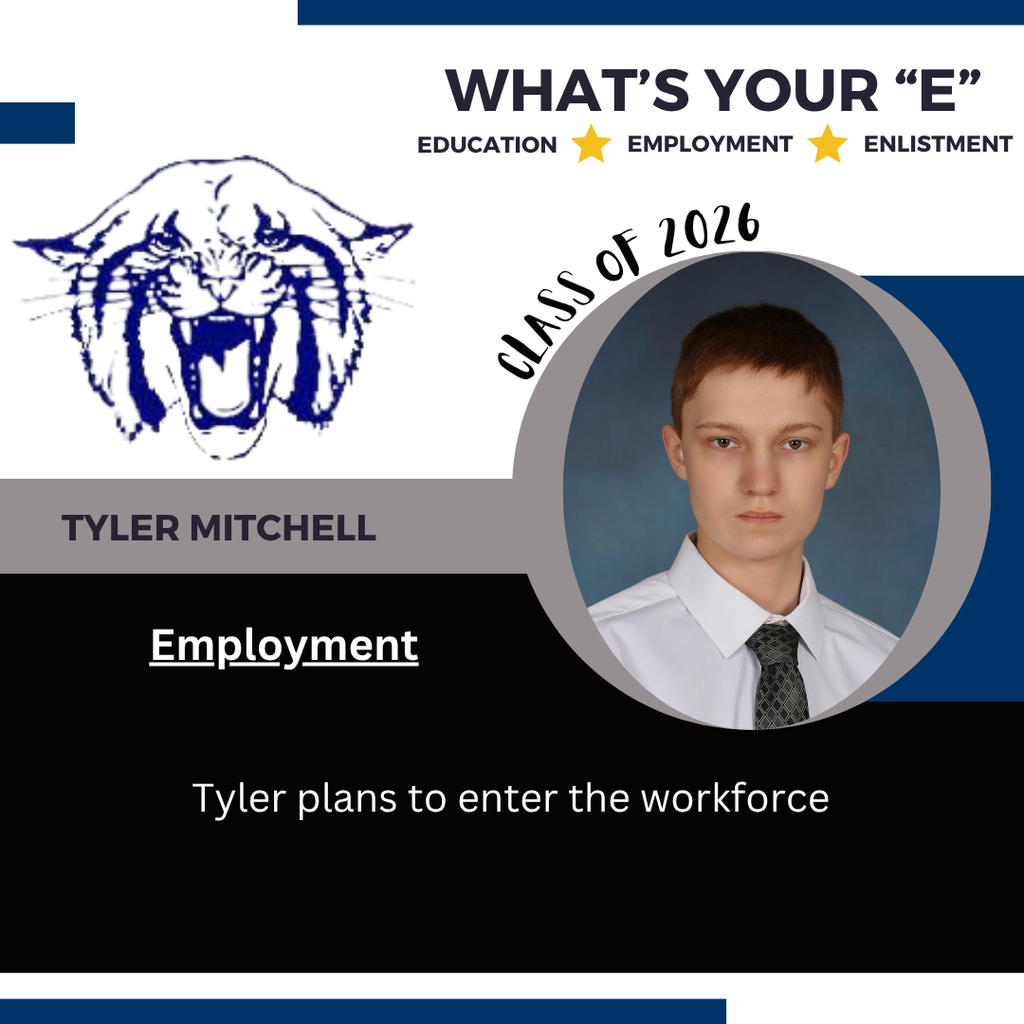 T Mitchell