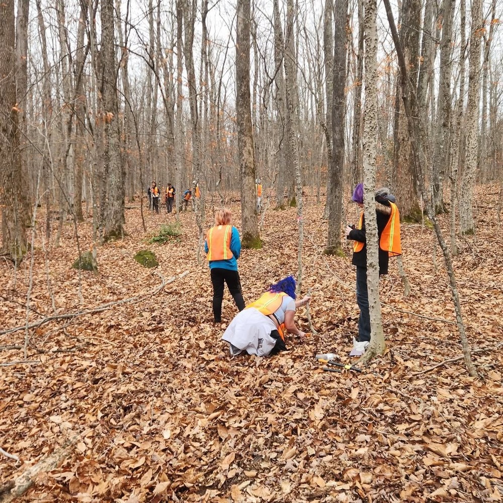 several students removing brush from trail