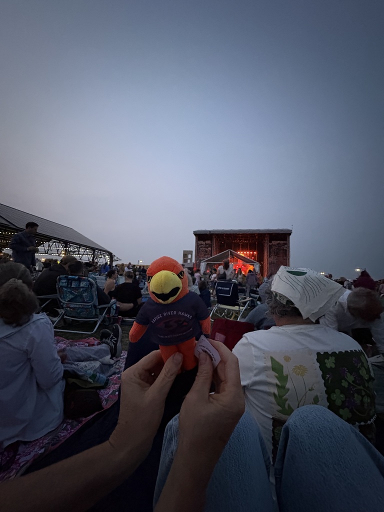 River Hawk plushie outside at concert