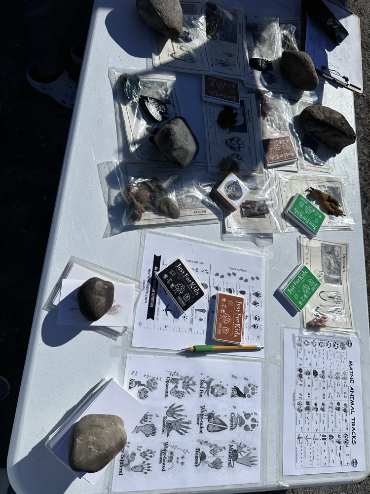 a table of materials about poop, skulls and track id