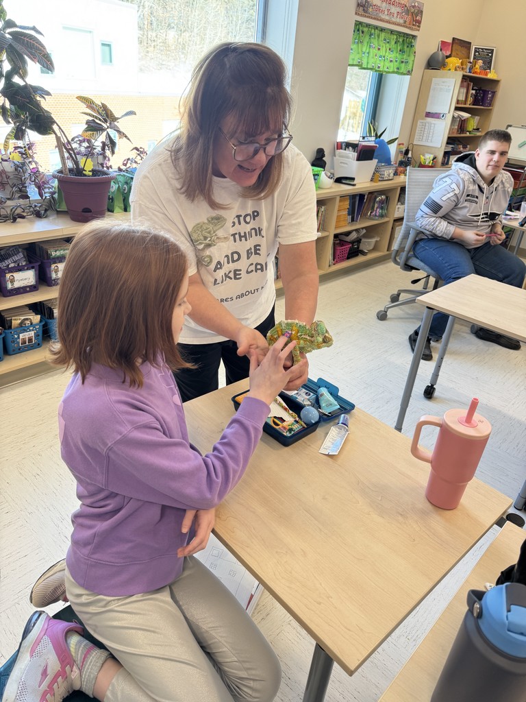 Chameleon Carl Visits Mrs. Seymour's 4th Grade Class
