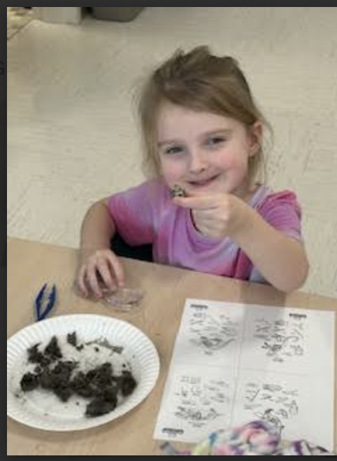 Animals and  Habitats