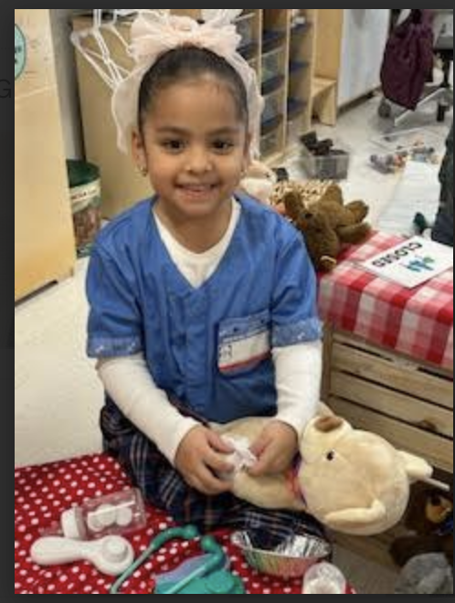 Animals and  Habitats