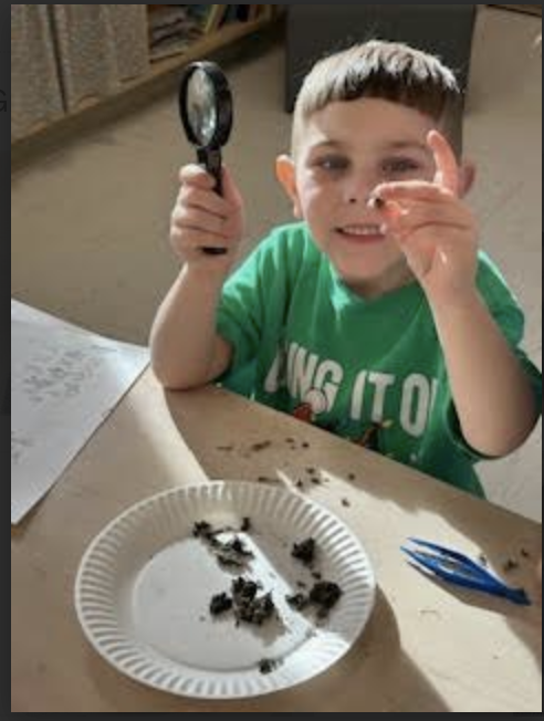 Animals and  Habitats