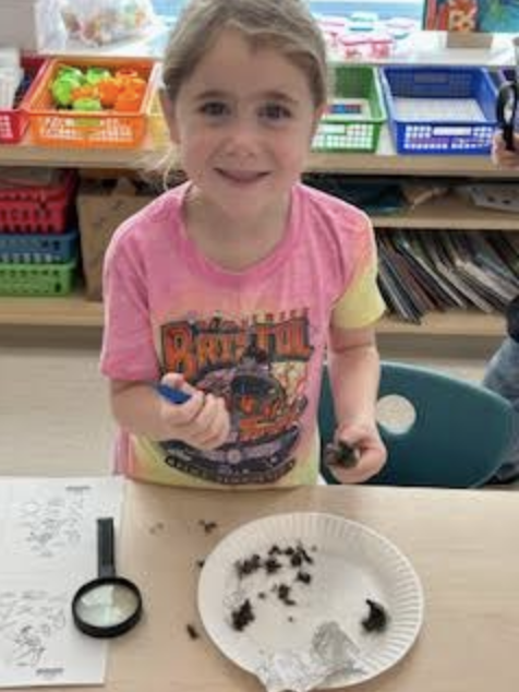 Animals and  Habitats