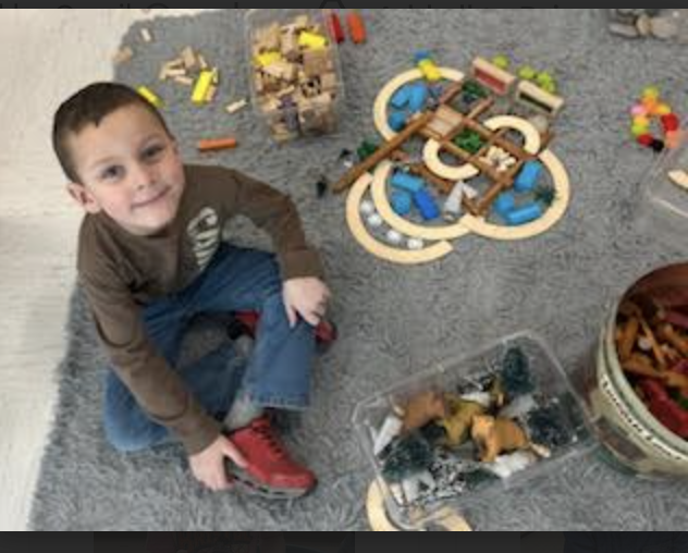 Animals and  Habitats