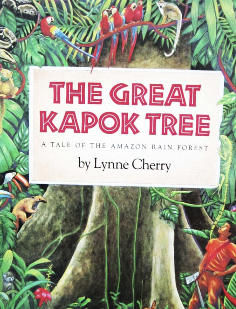 Screenshot 2026-02-13 at 11