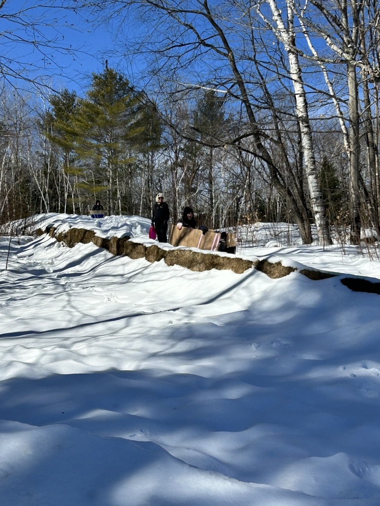 students riding down snow hill in cardboard box race