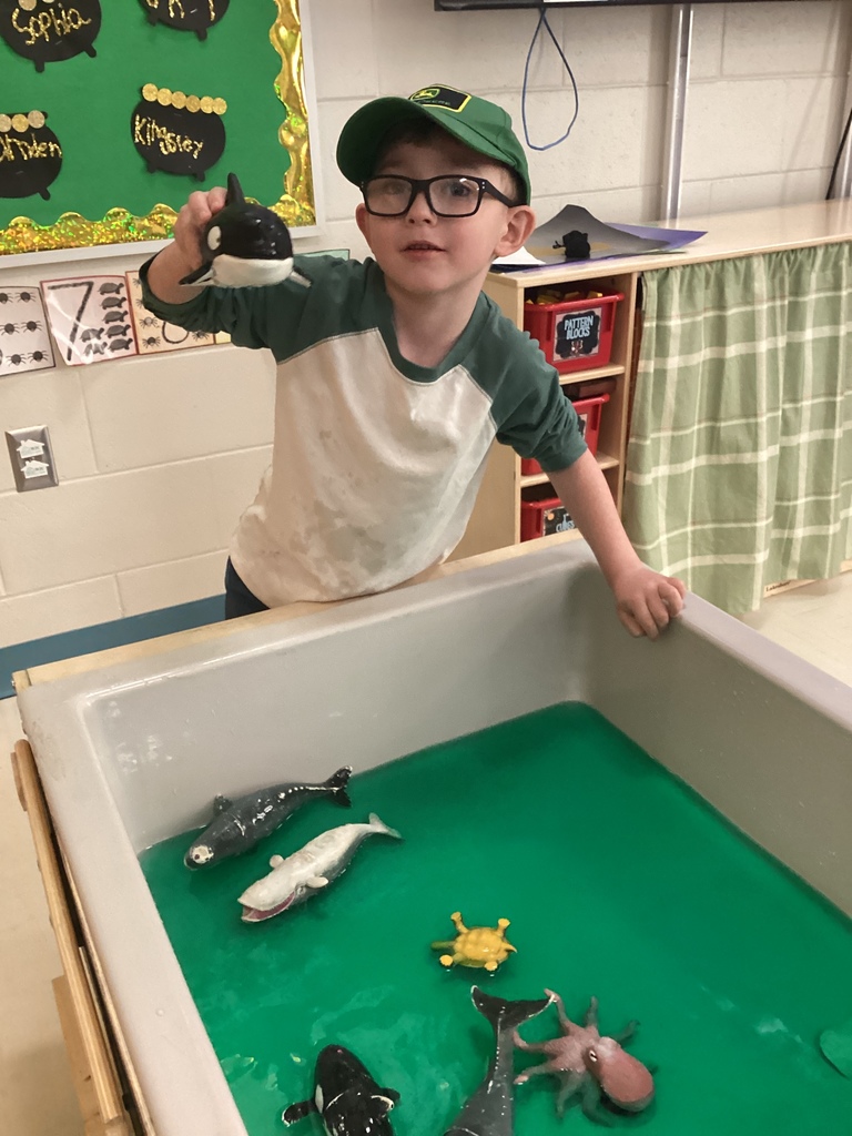 A boy playing in a water tank with toy animals.