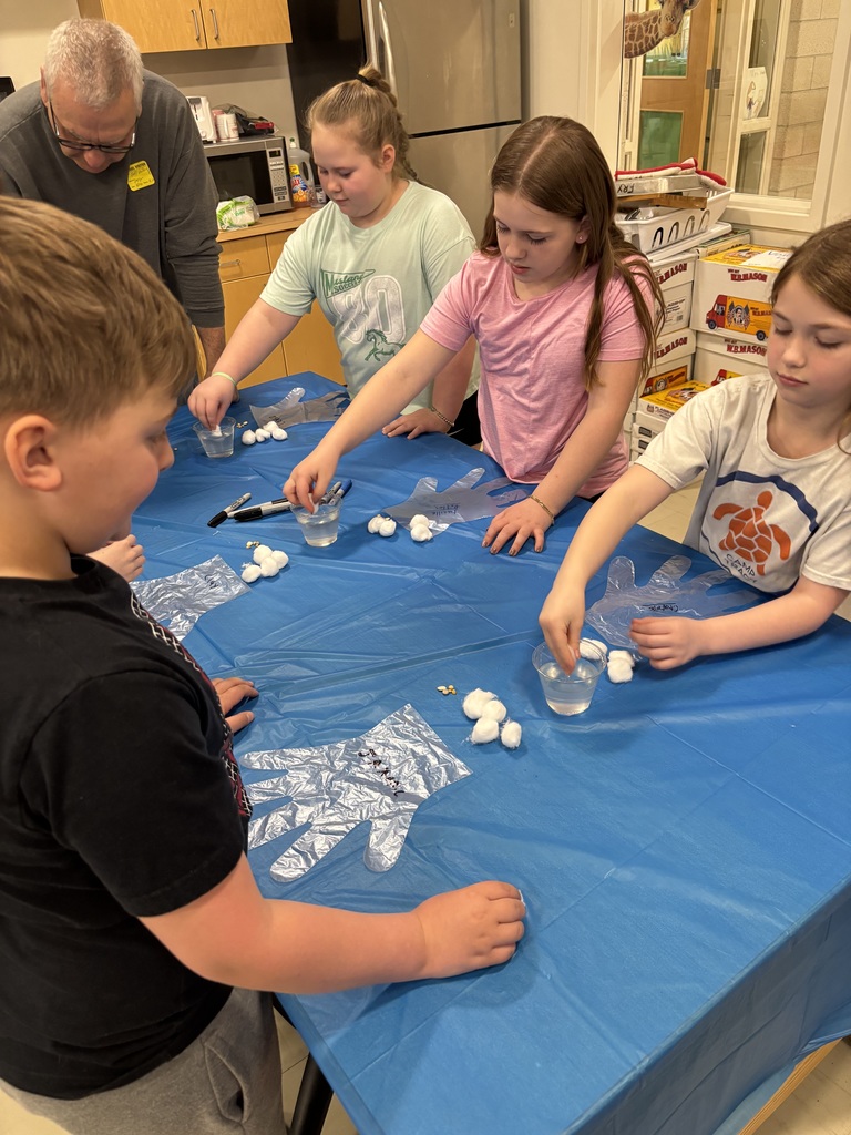 Young students work with cotton balls, water and plastic gloves.