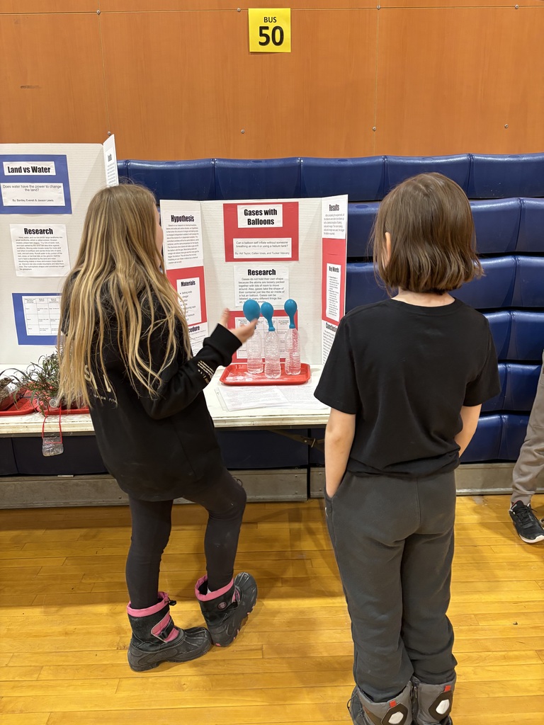 Students look at poster board project. 