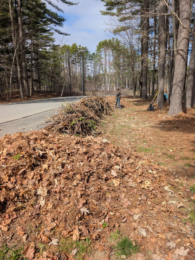 Students working in a yard cleaning up