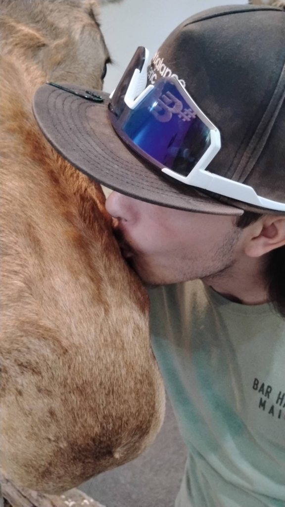 student kissing a life sized stuffed moose