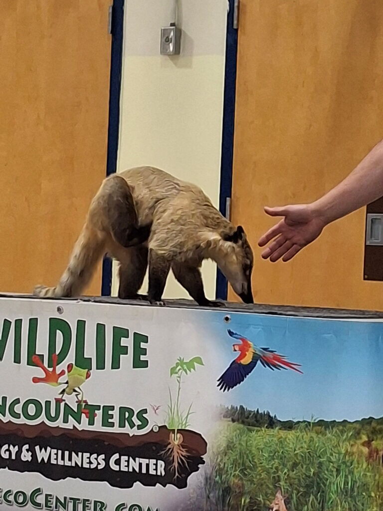 WE