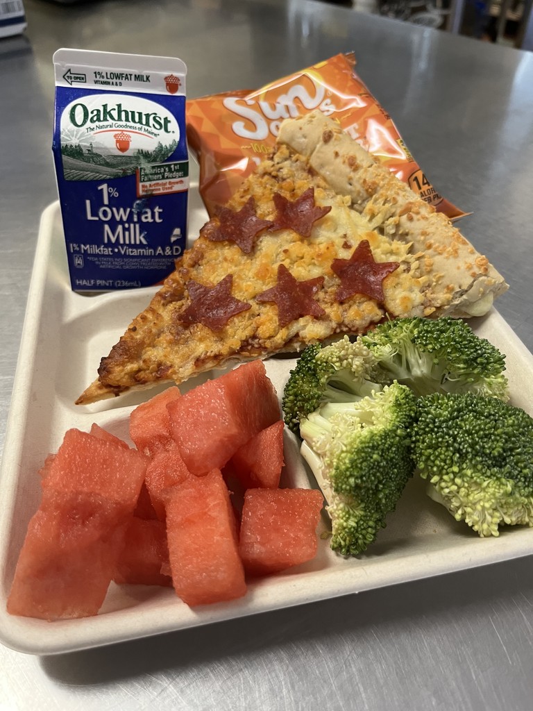 Lunch tray