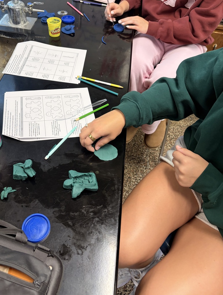 Performing surgeries on gingerbread men.