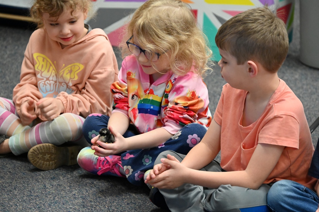 Students with baby chickens