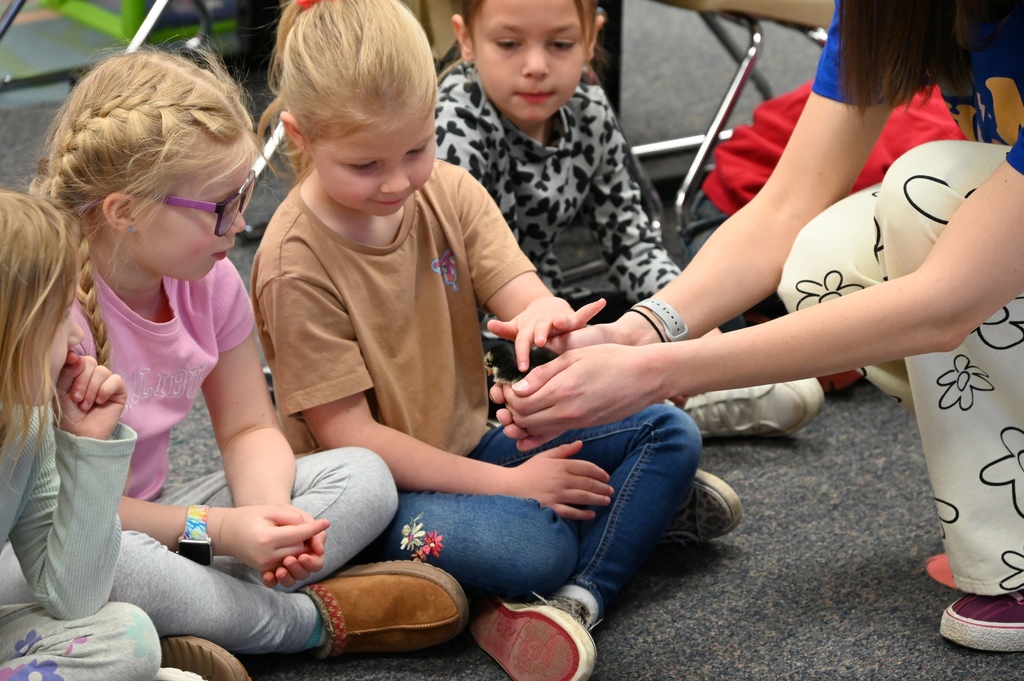 Students with baby chickens