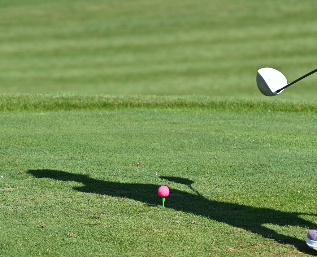 pink golf club