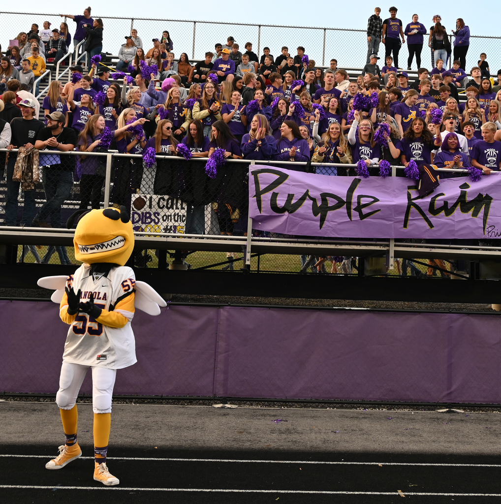 fans at game and hornet mascot