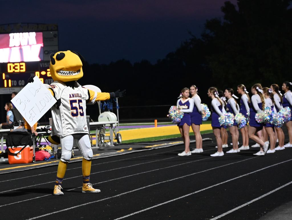 hornet mascot and cheerleader