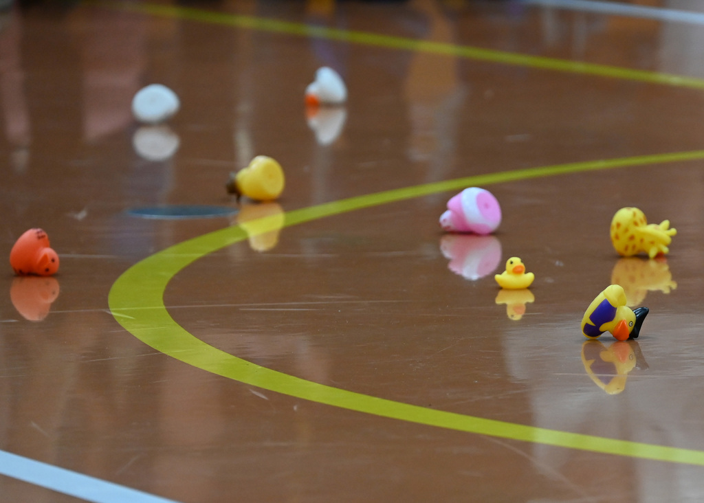 rubber ducks
