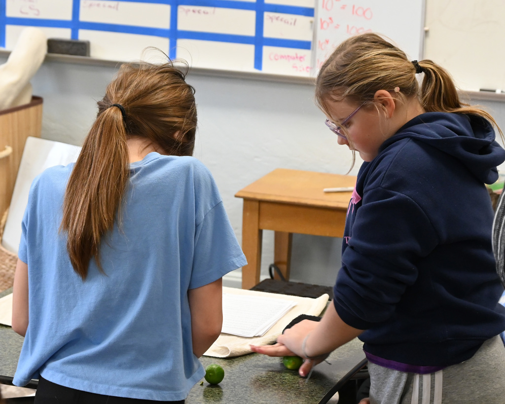 two kids rolling limes