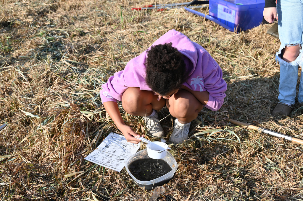 person looking at cup of stuff pulled out of a container