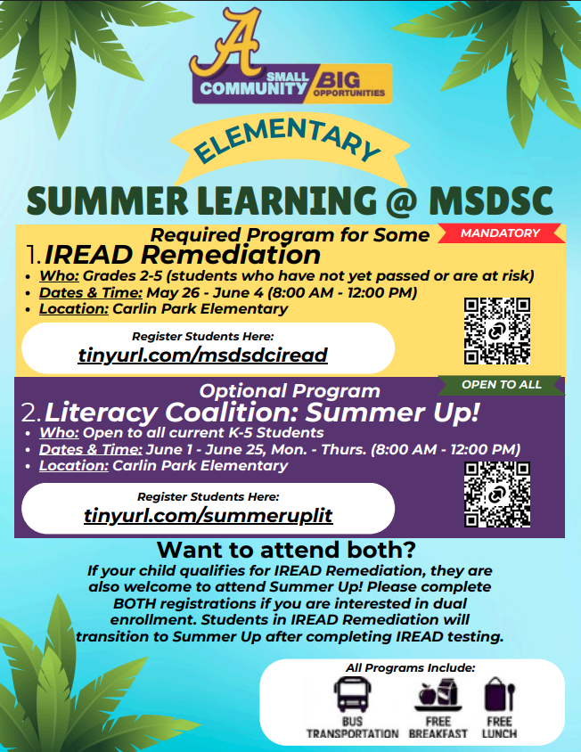Summer School Flyer