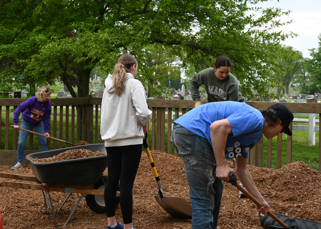 4 people spreading mulch with shovels and rakes