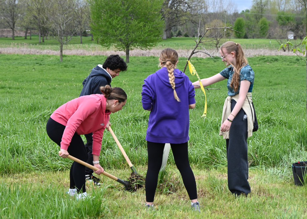 five middle schoolers in a park digging up a tree